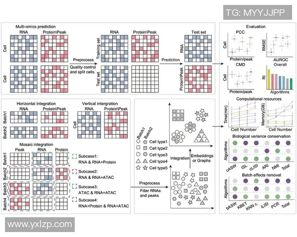 电竞赛事分析聚焦DOTA2RNG耐力表现与团队协作的深度探讨